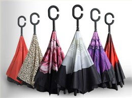 川雨琪告诉你，伞的结构及特征