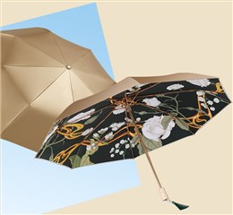 双层小金
