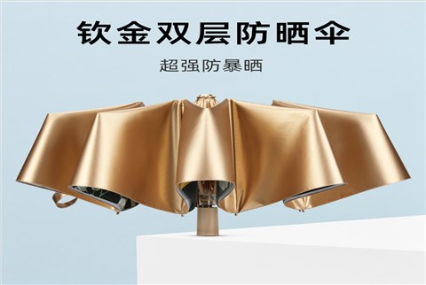 双层小金