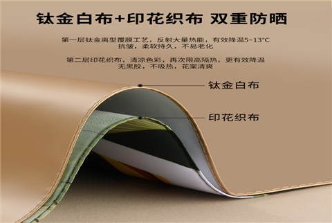 双层小金