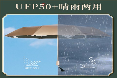 双层小金