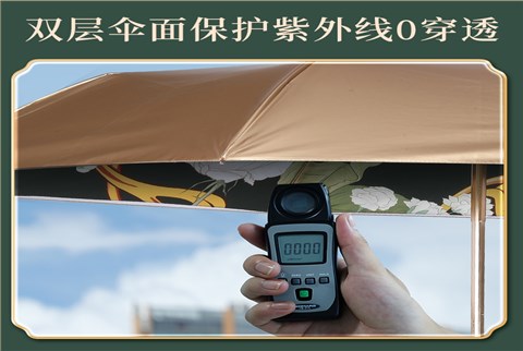 双层小金