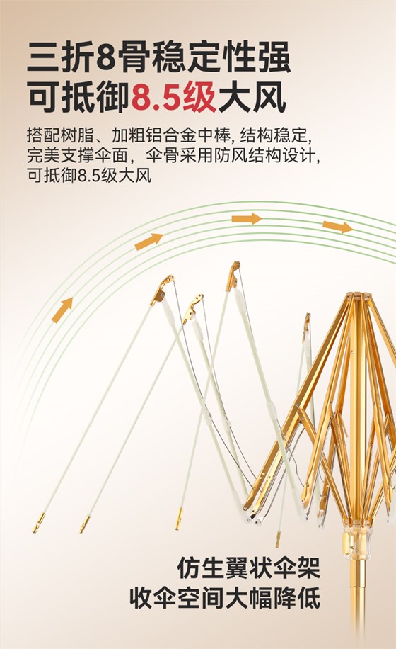 8骨小金伞详情图_06