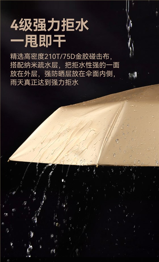 8骨小金伞详情图_11