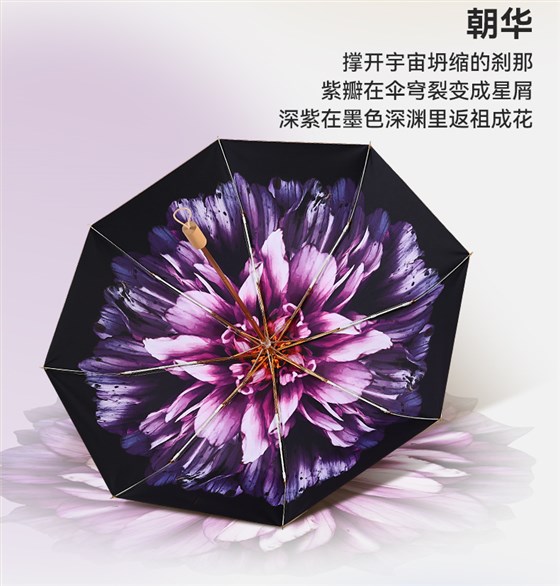 8骨小金伞详情图_19