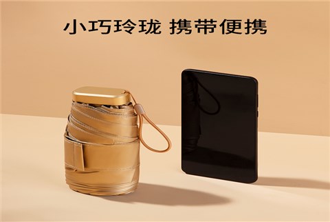 小金伞花色系列
