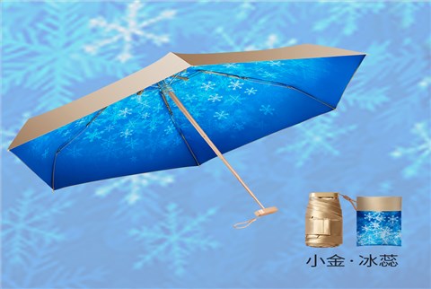 小金伞花色系列