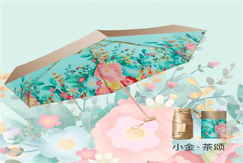 小金伞花色系列