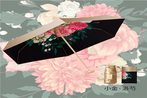 小金伞花色系列